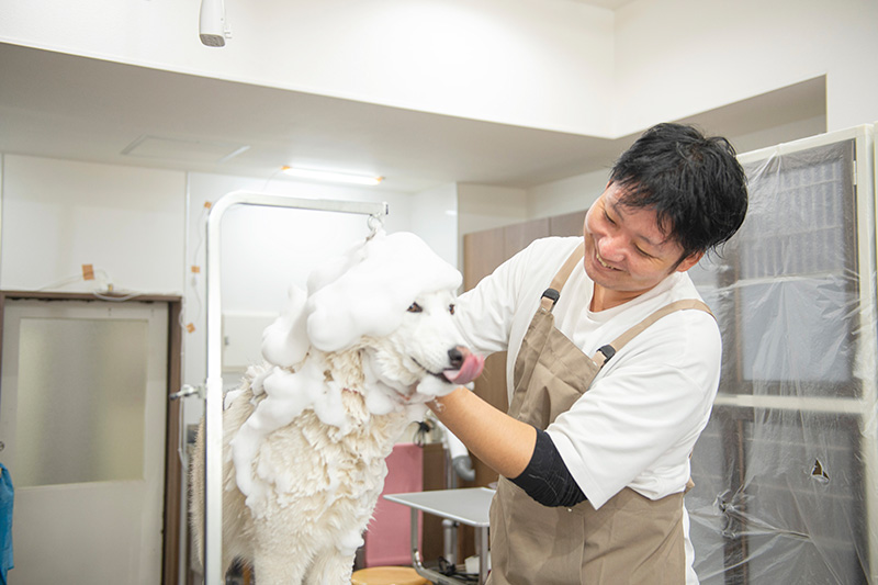 オーナー 島根 大輔